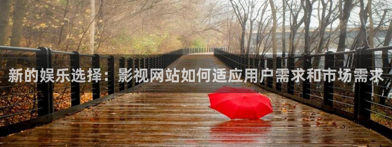 午夜大片免费观看：新的娱乐选择：影视网站如何适应用户需求和市场需求
