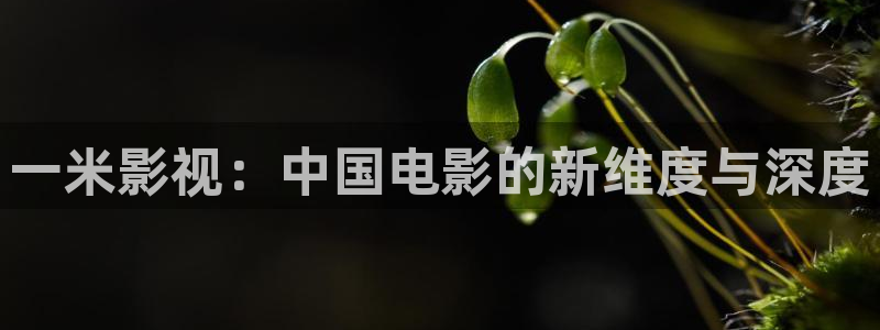久久久久久国产午夜影院