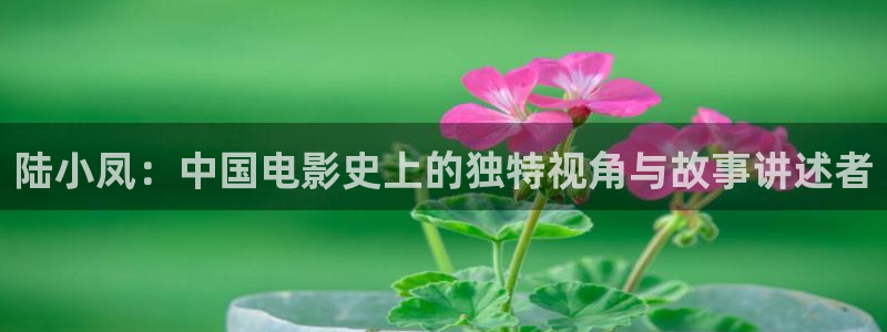午夜另类电影：陆小凤：中国电影史上的独特视角与故事讲述者