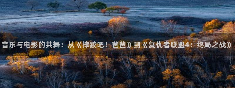 成年人午夜电影院：音乐与电影的共舞：从《摔跤吧！爸爸》到《复仇者联盟4：终局之战》