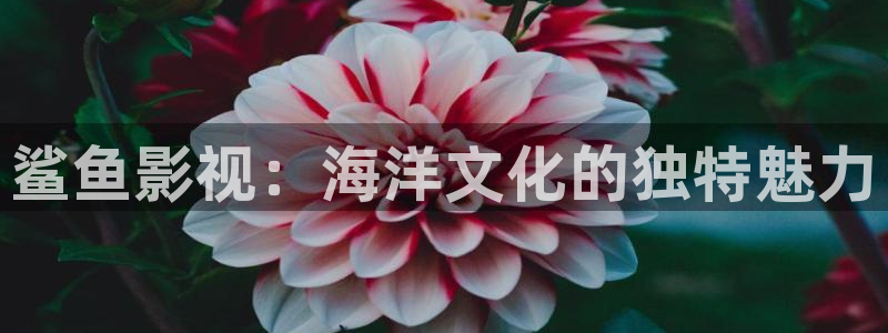 午夜影院秋霞