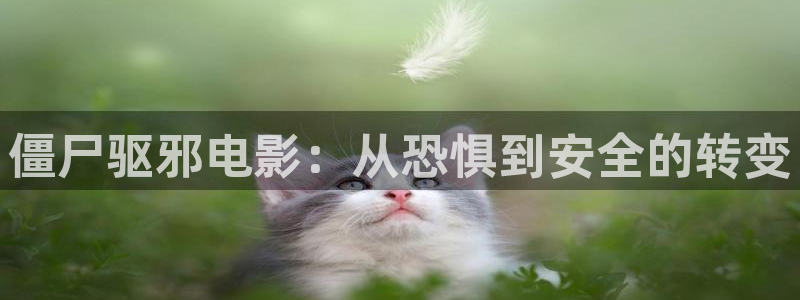 午夜大人电影