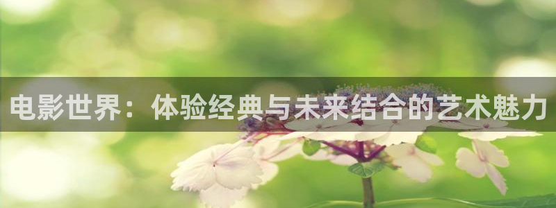 秋霞午夜在线电影：电影世界：体验经典与未来结合的艺术魅力