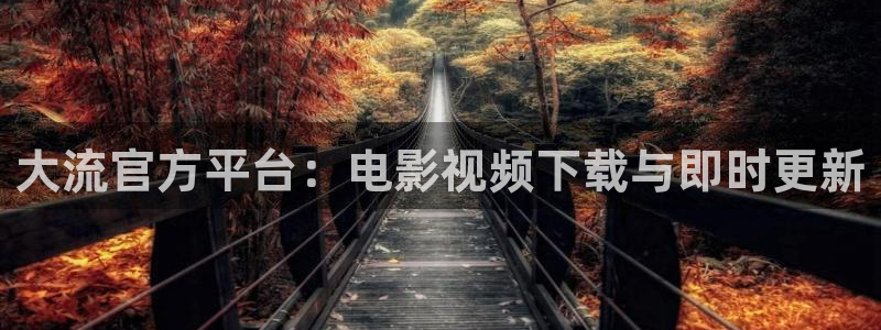 神马午夜飘花影院：大流官方平台：电影视频下载与即时更新