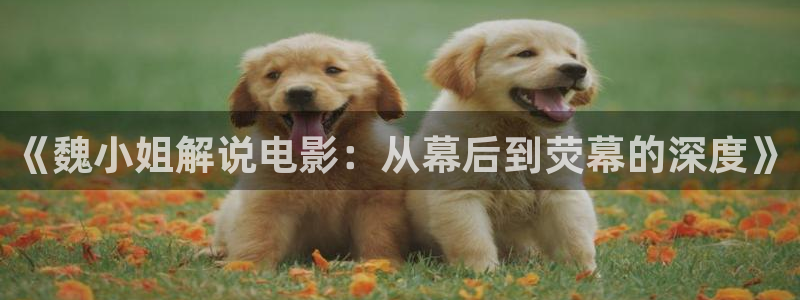 《午夜心跳》电影
