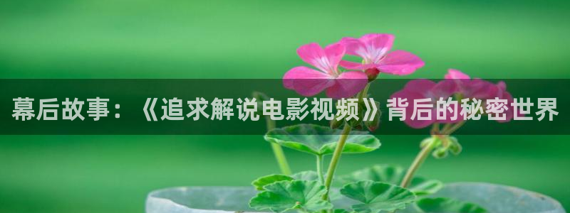 电影午夜在线：幕后故事：《追求解说电影视频》背后的秘密世界