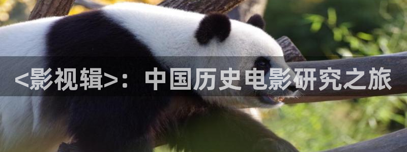 午夜久久免费毛片