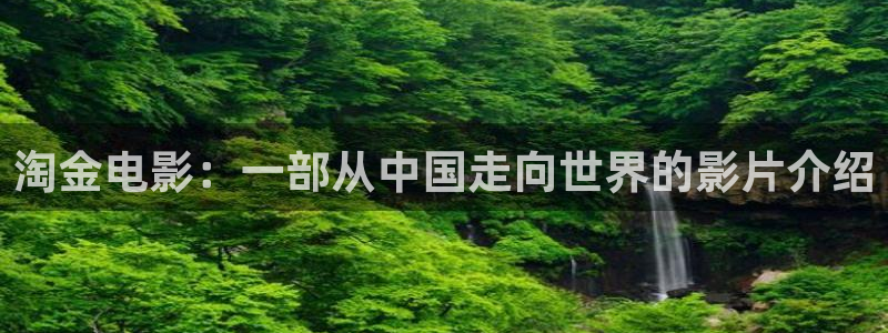 免费午夜片在线