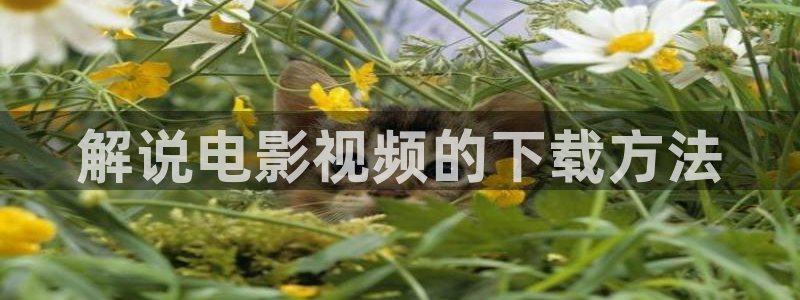 日韩午夜精品电影