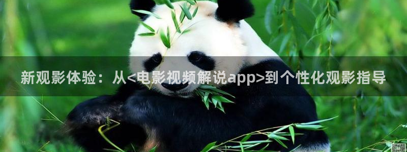 2828午夜理论大全片