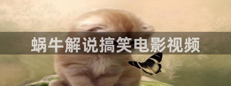 爱在午夜降临前电影免费看