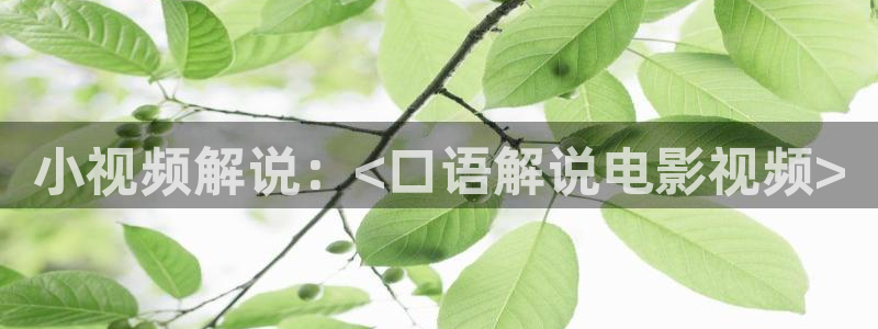 神马午夜影院伦理片