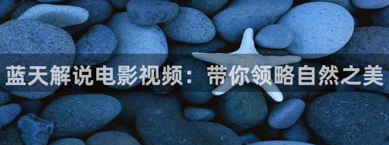 神神马午夜影院