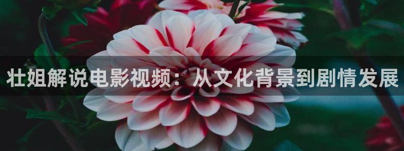 午夜激情毛片