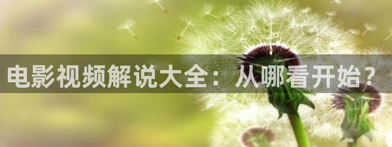 午夜国产一级一片