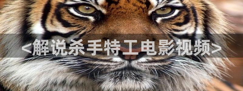 gogo高清午夜人体在线