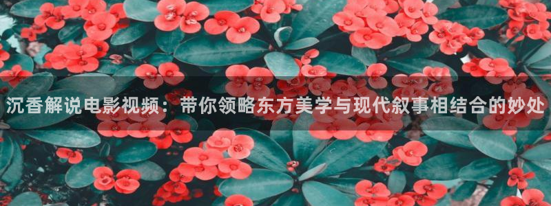午夜蜜桃免费观看hd片