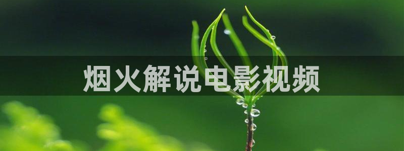 午夜看片免费app