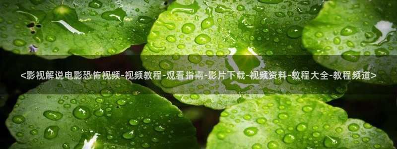 澳门午夜影视