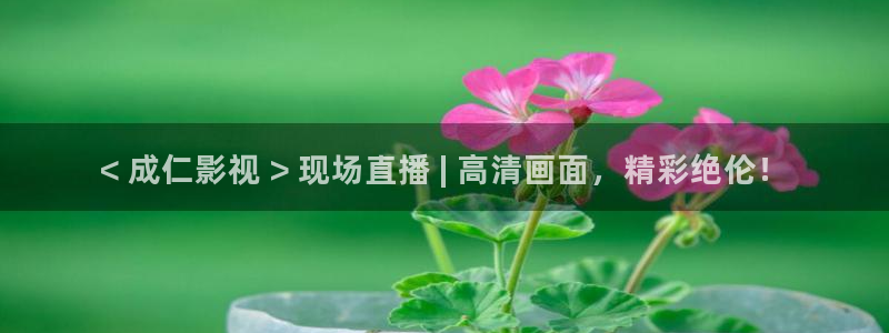 午夜免费电影观看