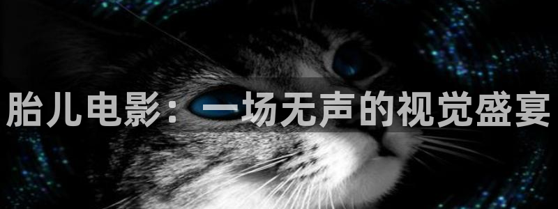 成年人免费午夜电影