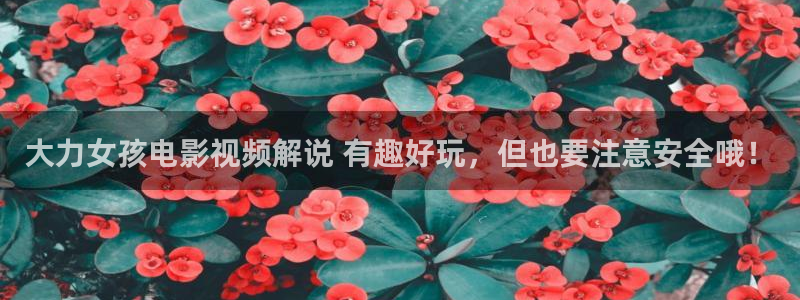 午夜西瓜电影