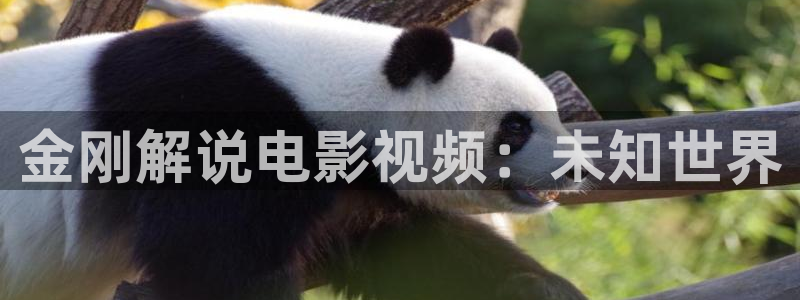 达达兔影院午夜理论影院