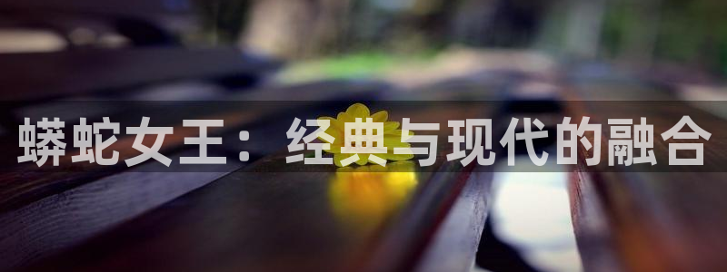 韩国午夜理伦在线观看