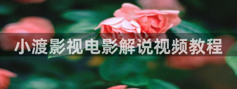 午夜免费久久片