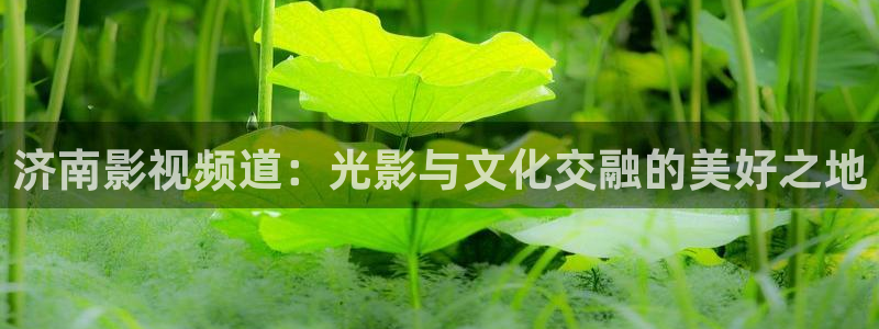 成人午夜三级在线观看