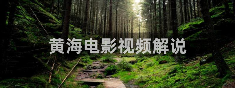 成人午夜在线视频播放