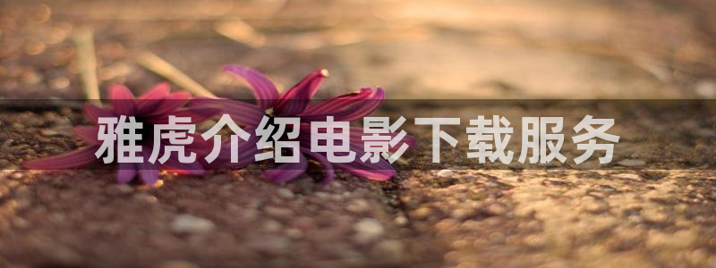 午夜理论片yy6080影院