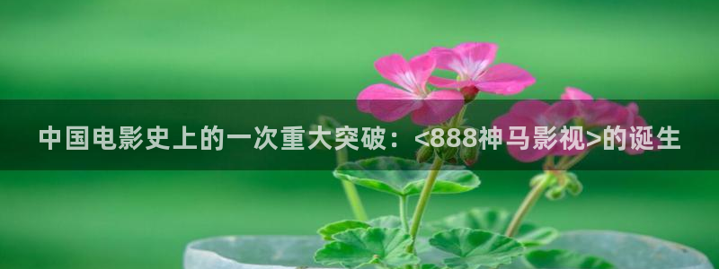 午夜香蕉av一区二区三区