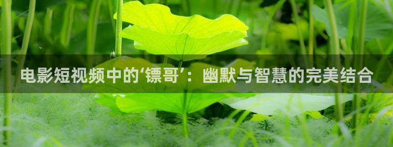 四虎影院午夜剧场