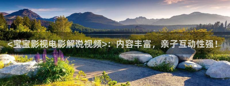 个人午夜影院