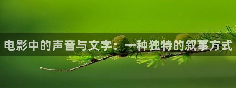 日本午夜动作片：电影中的声音与文字：一种独特的叙事方式