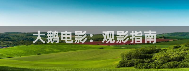影院午夜：大鹅电影：观影指南