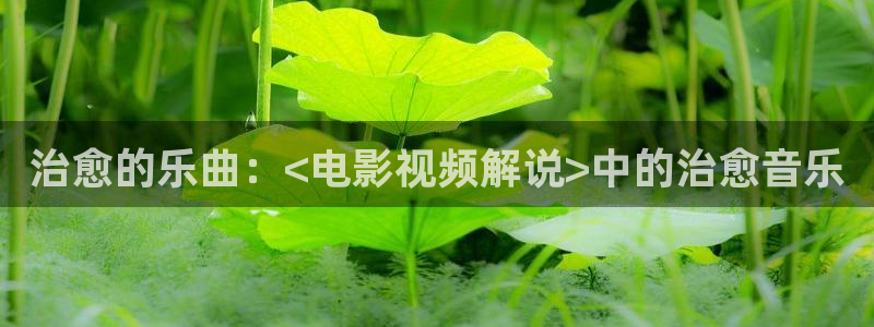 成年人午夜电影免费观看：治愈的乐曲：<电影视频解说>中的治愈音乐
