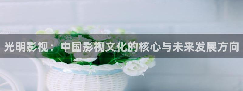 94神马电影午夜频道：光明影视：中国影视文化的核心与未来发展方向