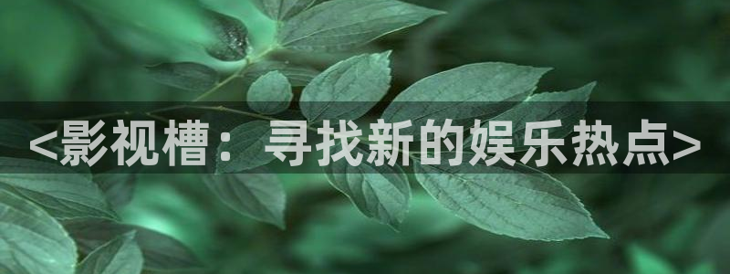 国产午夜天天内射视频在线