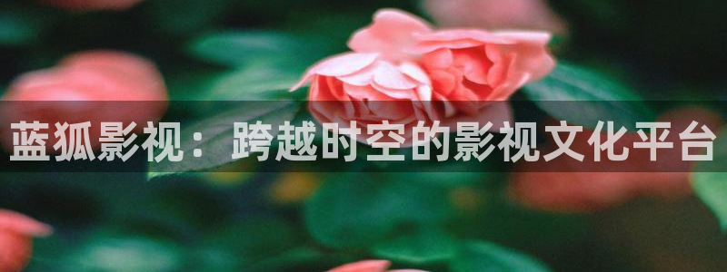 6080午夜伦理影院