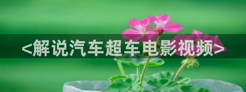 午夜伦理片不卡