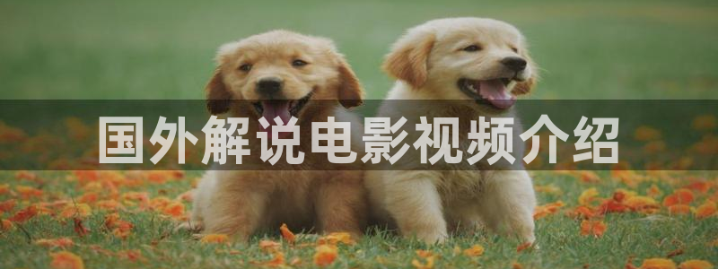 午夜极品电影