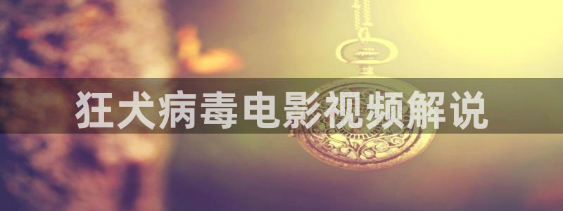 啪啪免费午夜电影