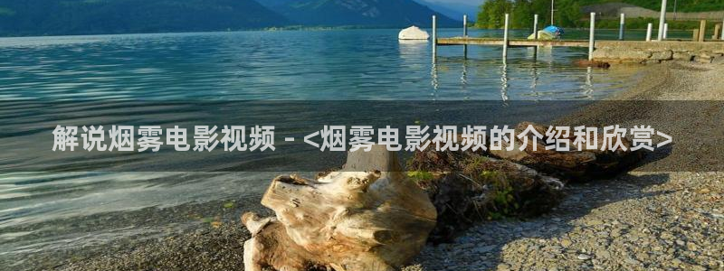 久久午夜伦理片