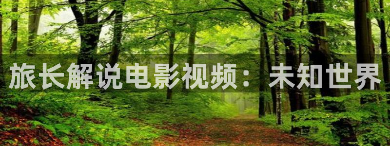 老子午夜电影院