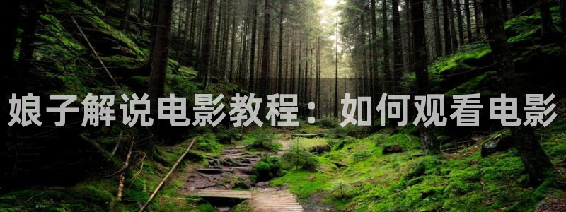 神马午夜新影院