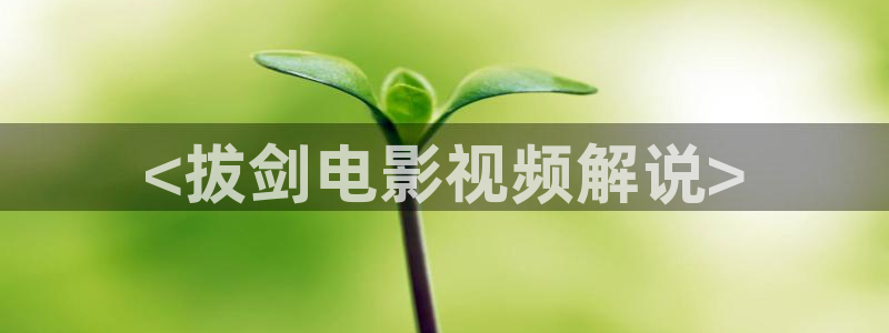 九七午夜免费视频