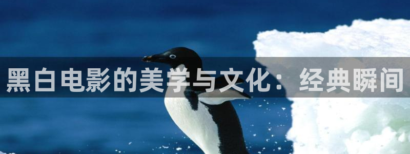 神马影院午夜在线观看