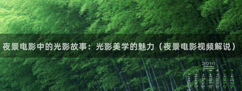 成人免费午夜毛片